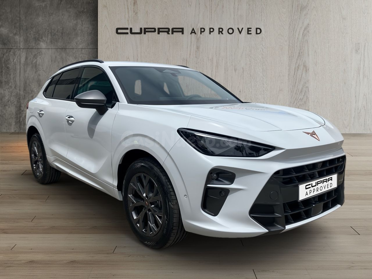Cupra Terramar 1.5 TSI e-Hybrid DSG 150 kW (204 CV)