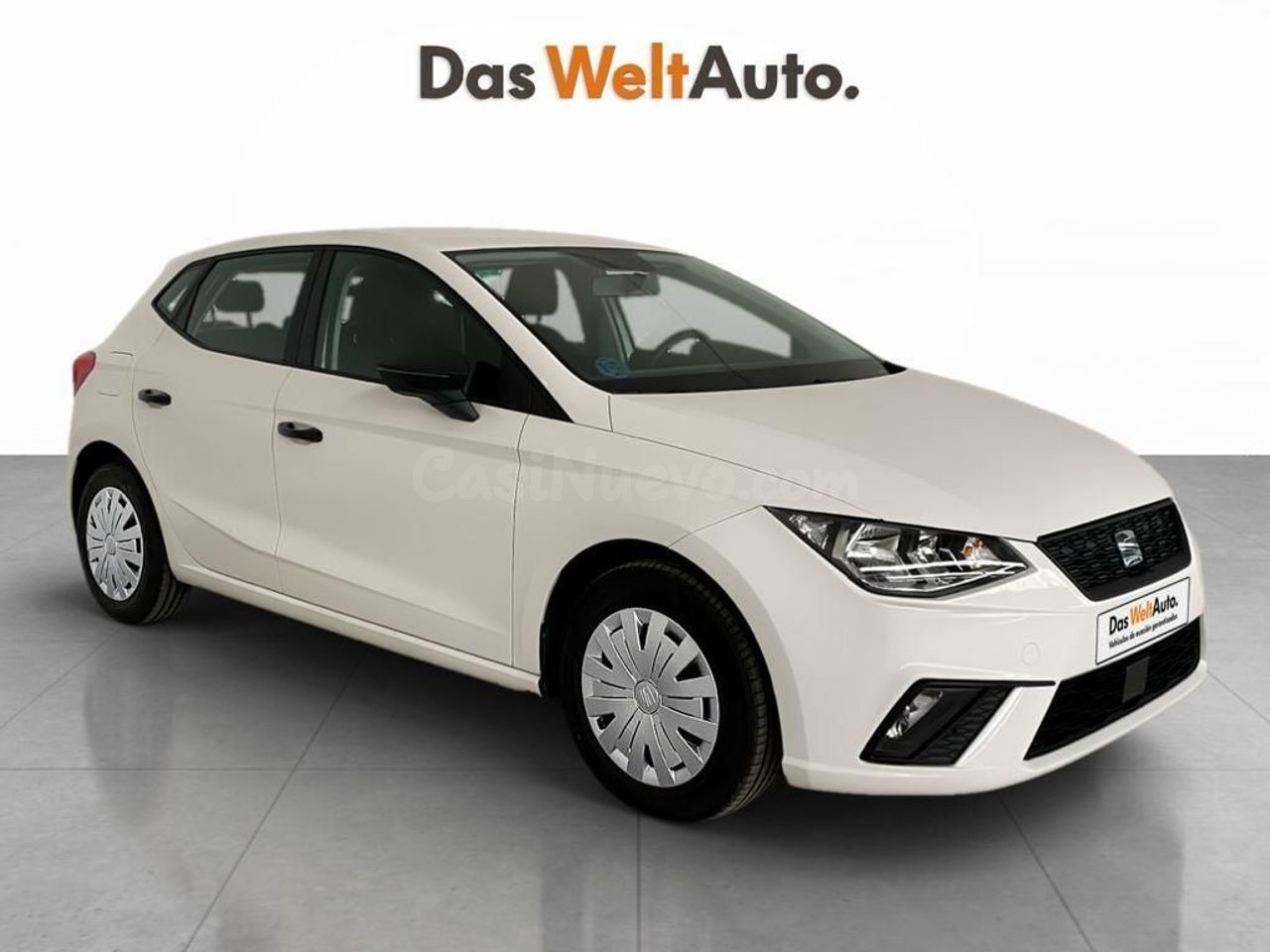 Seat Ibiza 1.6 TDI CR S&S Reference 59 kW (80 CV)