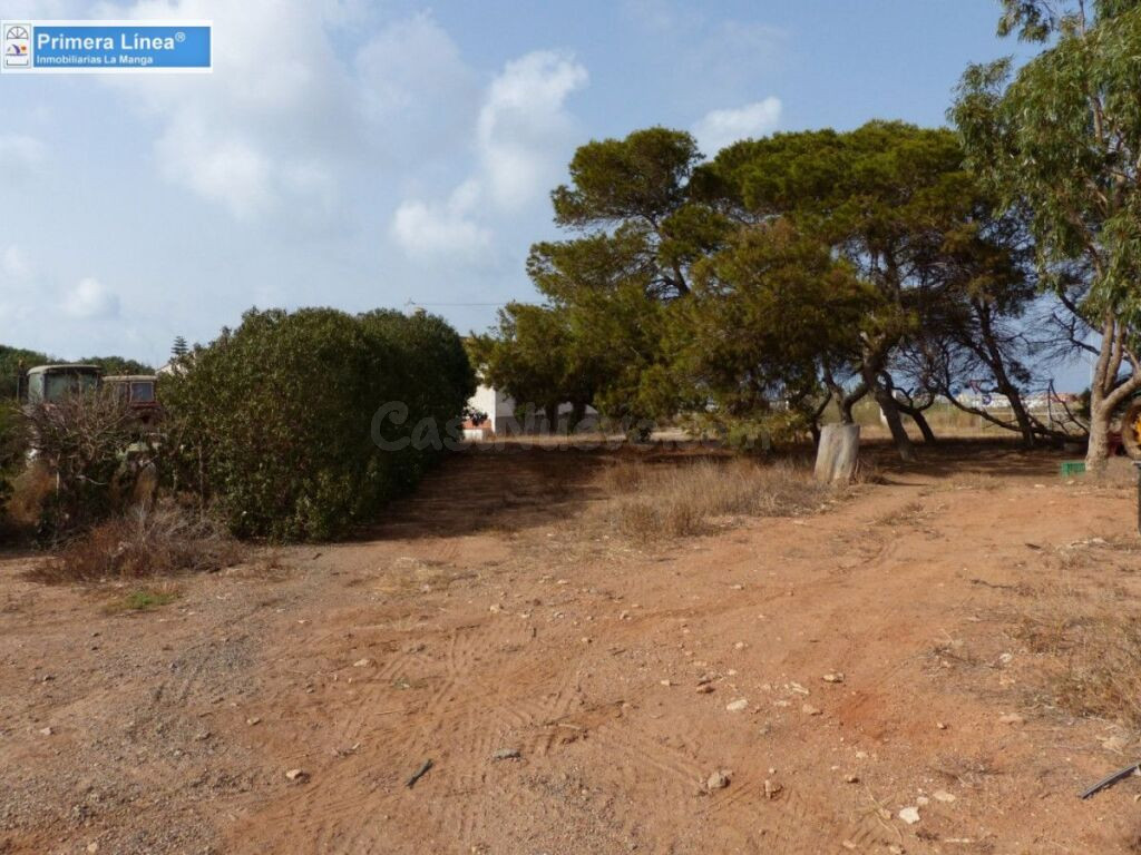 Venta de finca agrícola en Los Belones