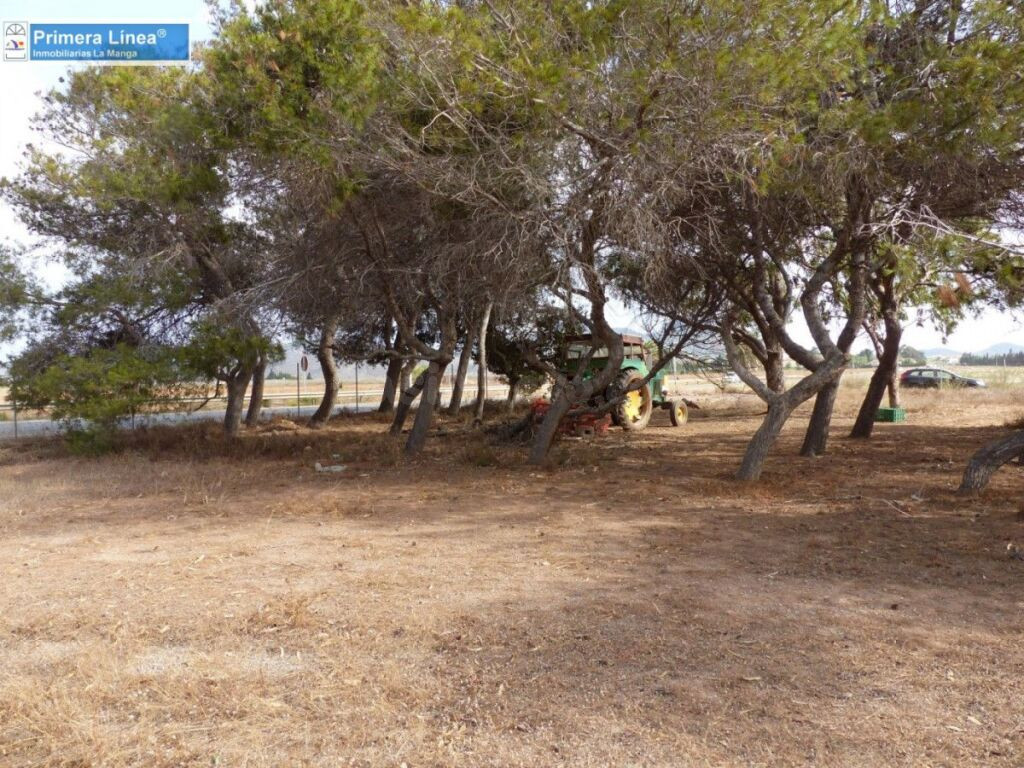 Venta de finca agrícola en Los Belones - foto 5