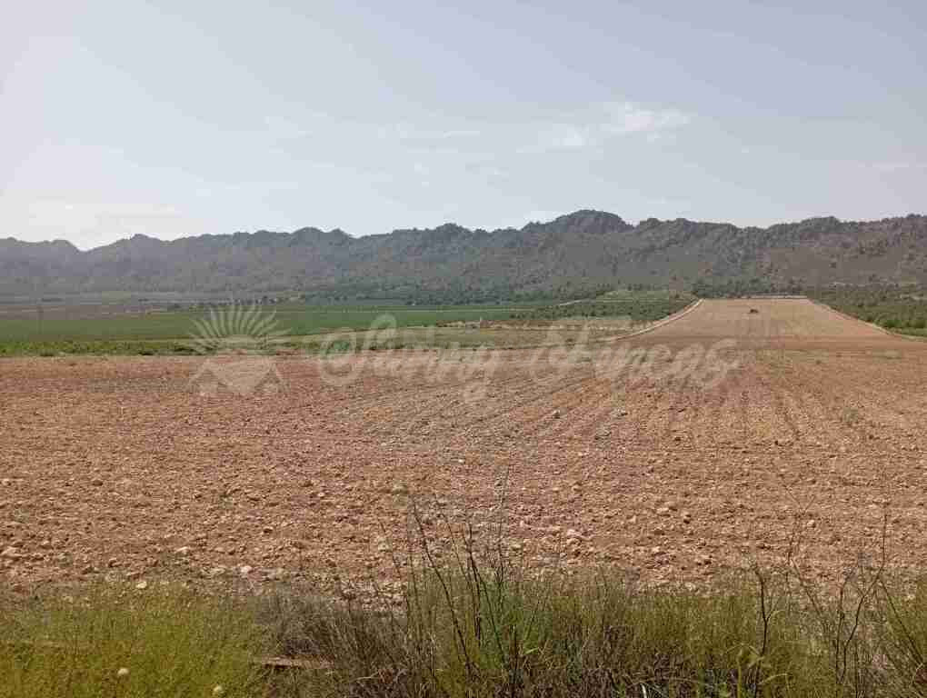 Suelo rústico en Venta en Yecla Murcia - foto 4