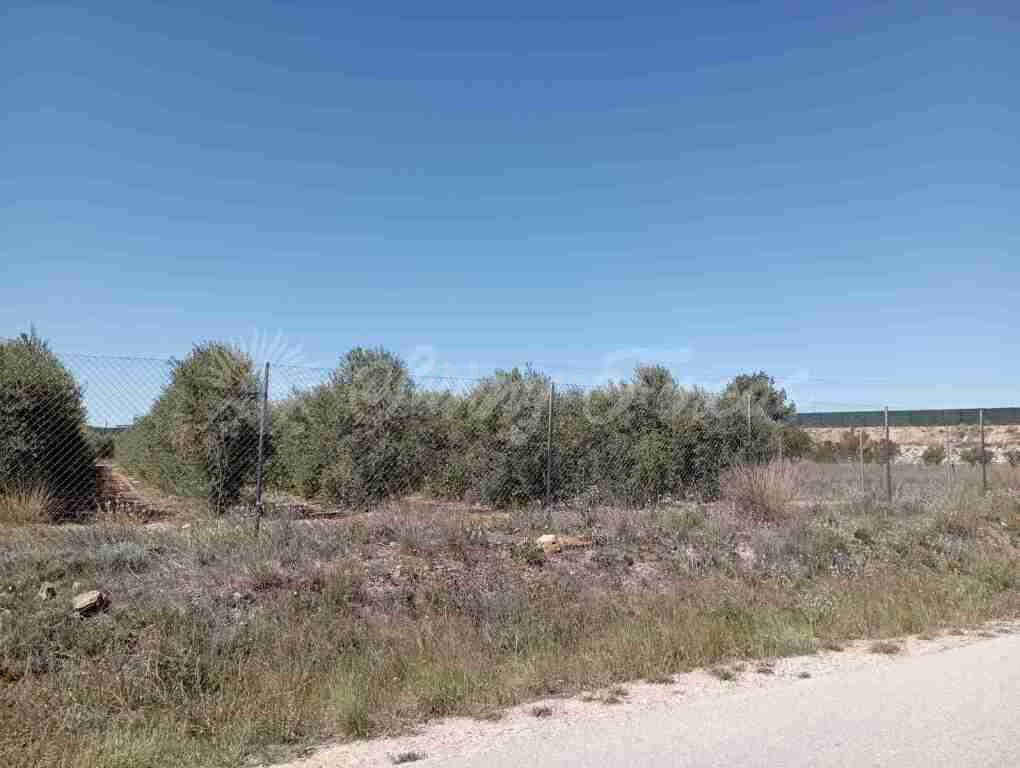 Suelo urbanizable en Venta en Caudete Albacete - foto 3