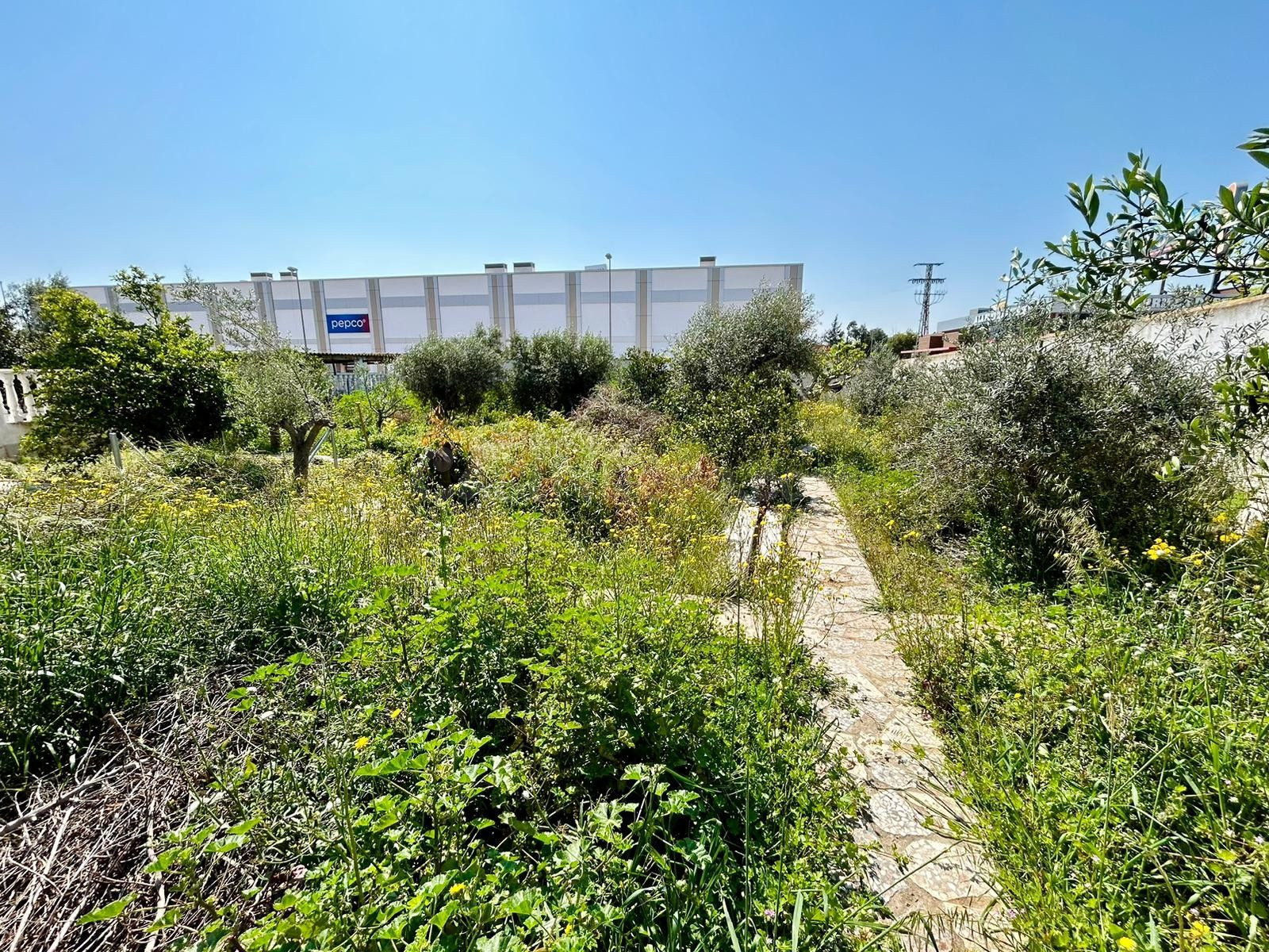 Parcela en venta - Centro de la Ciudad Quesada - foto 3