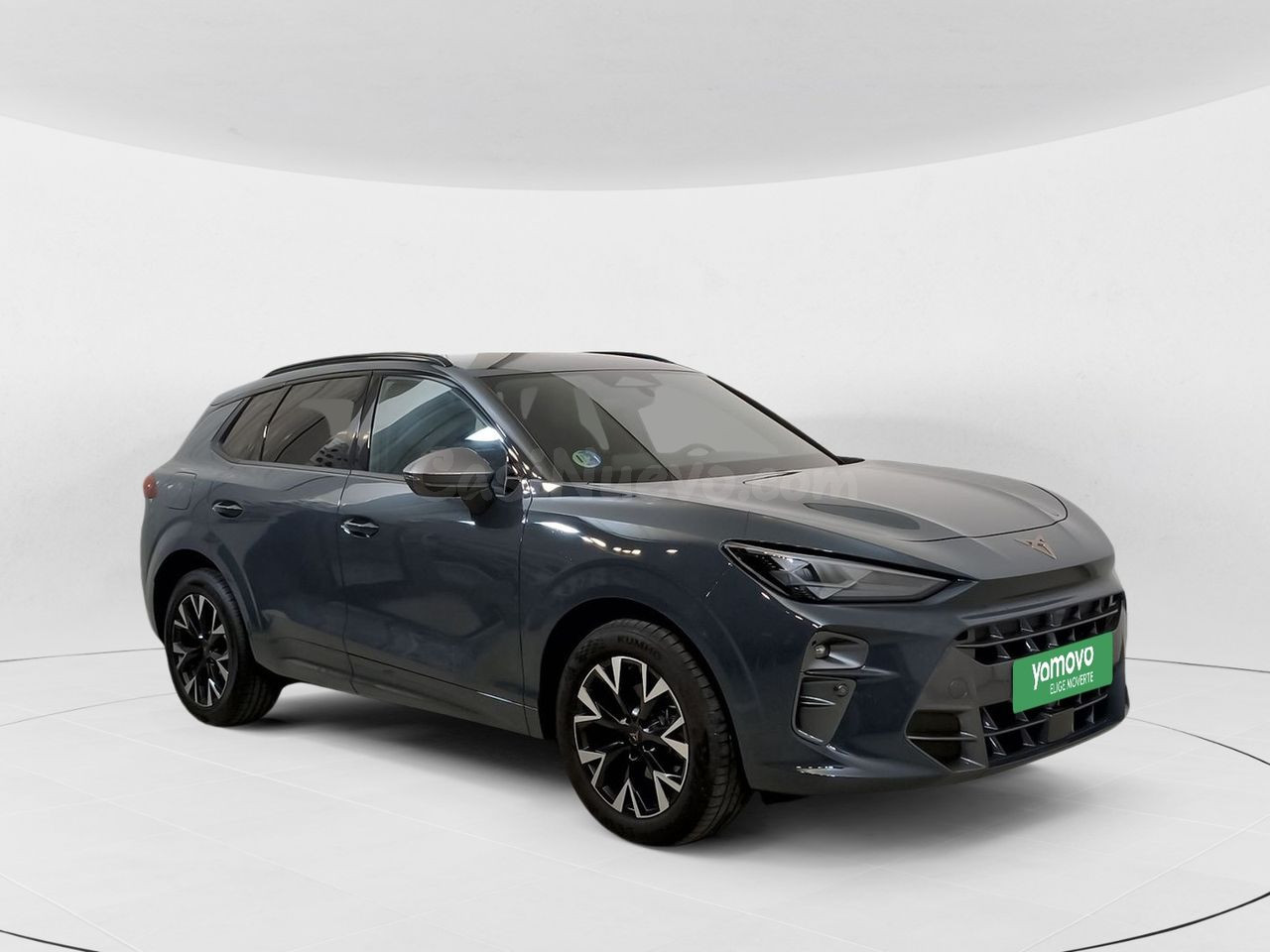 Cupra Terramar 1.5 eTSI 110kW (150 CV) DSG