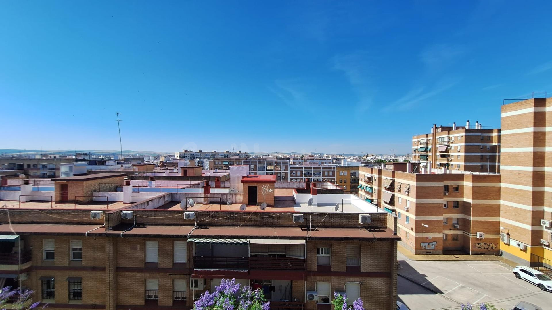 D. ¡¡ PISO PARA REFORMAR EN CARLOS III CON PLAZA DE APARCAMI