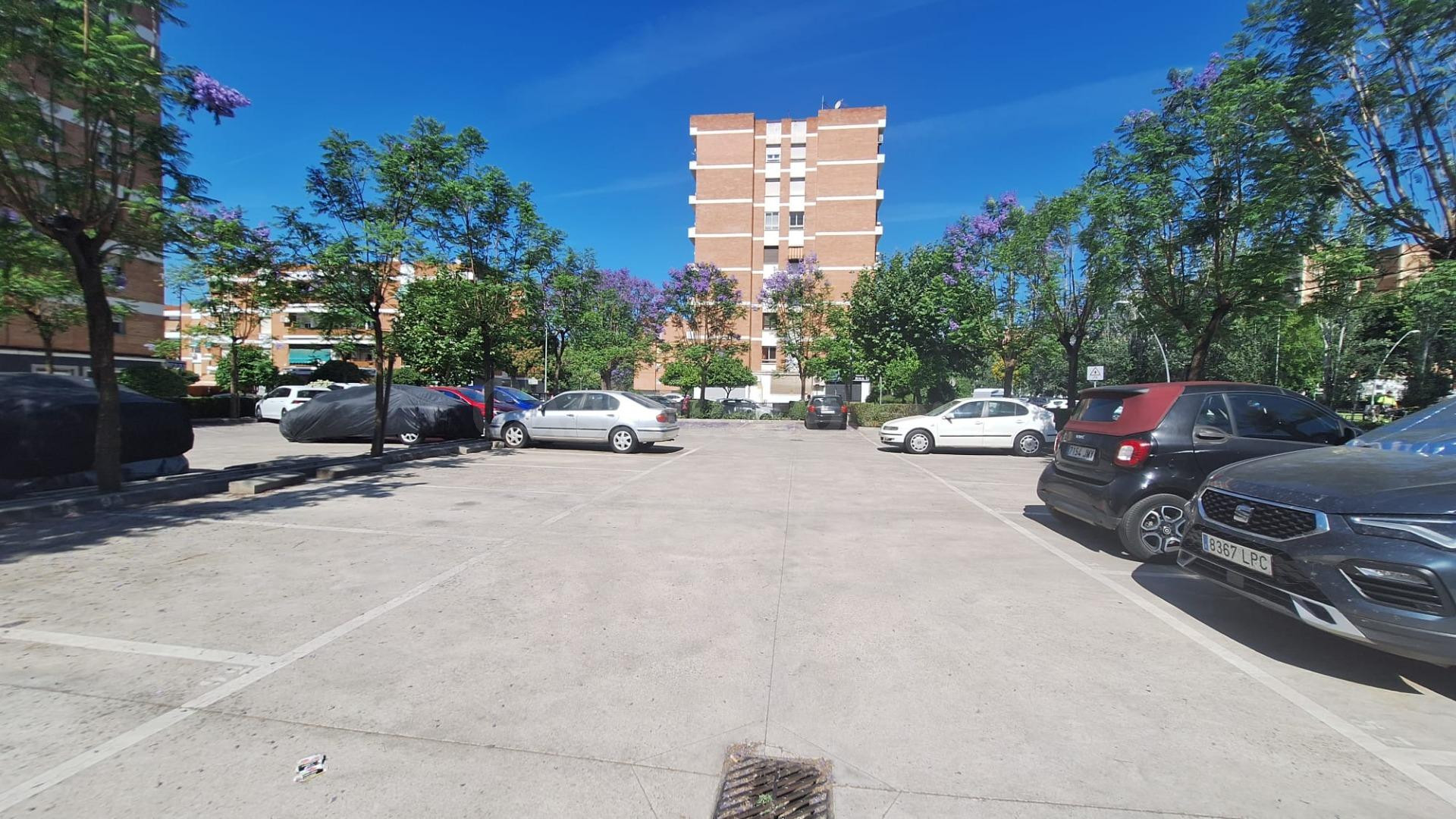D. ¡¡ PISO PARA REFORMAR EN CARLOS III CON PLAZA DE APARCAMI - foto 3