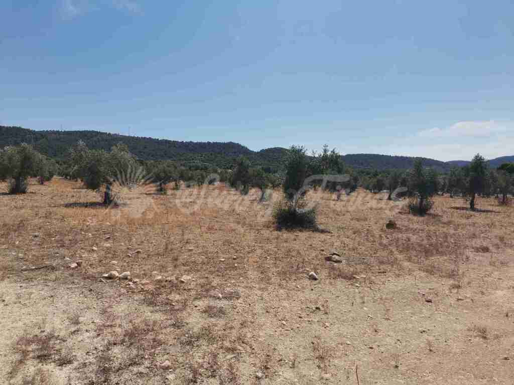 Suelo urbanizable en Venta en Biar Alicante - foto 3