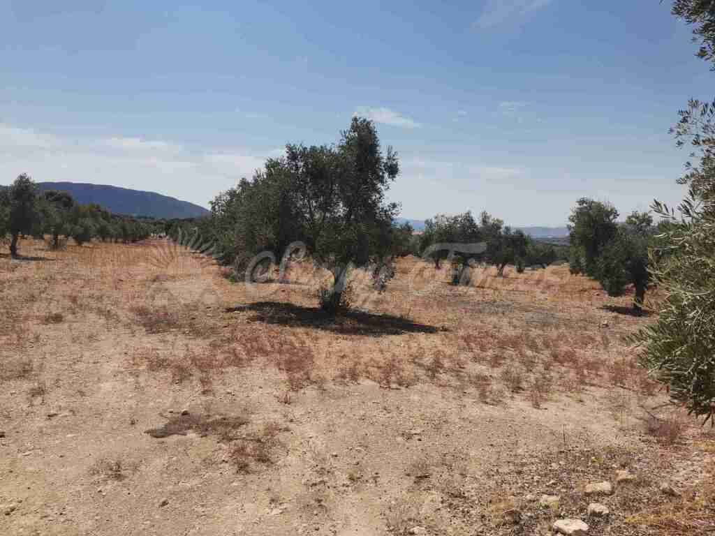 Suelo urbanizable en Venta en Biar Alicante - foto 4