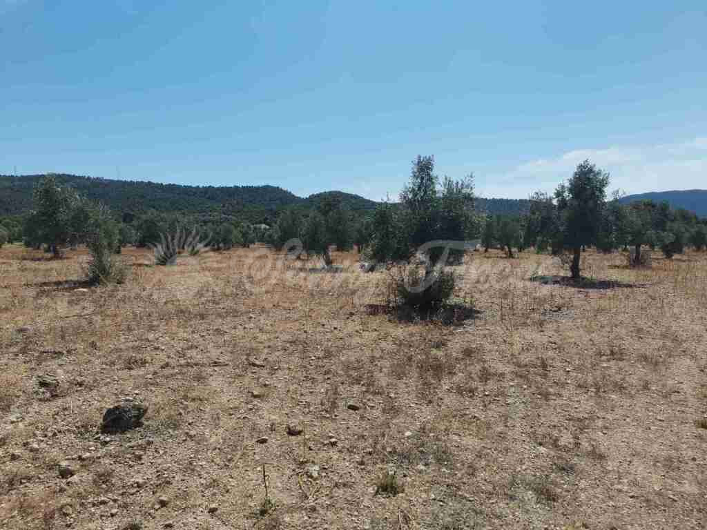 Suelo urbanizable en Venta en Biar Alicante - foto 5