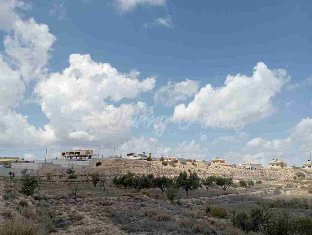 Suelo urbanizable en Venta en Monovar-Monover Alicante - foto 3