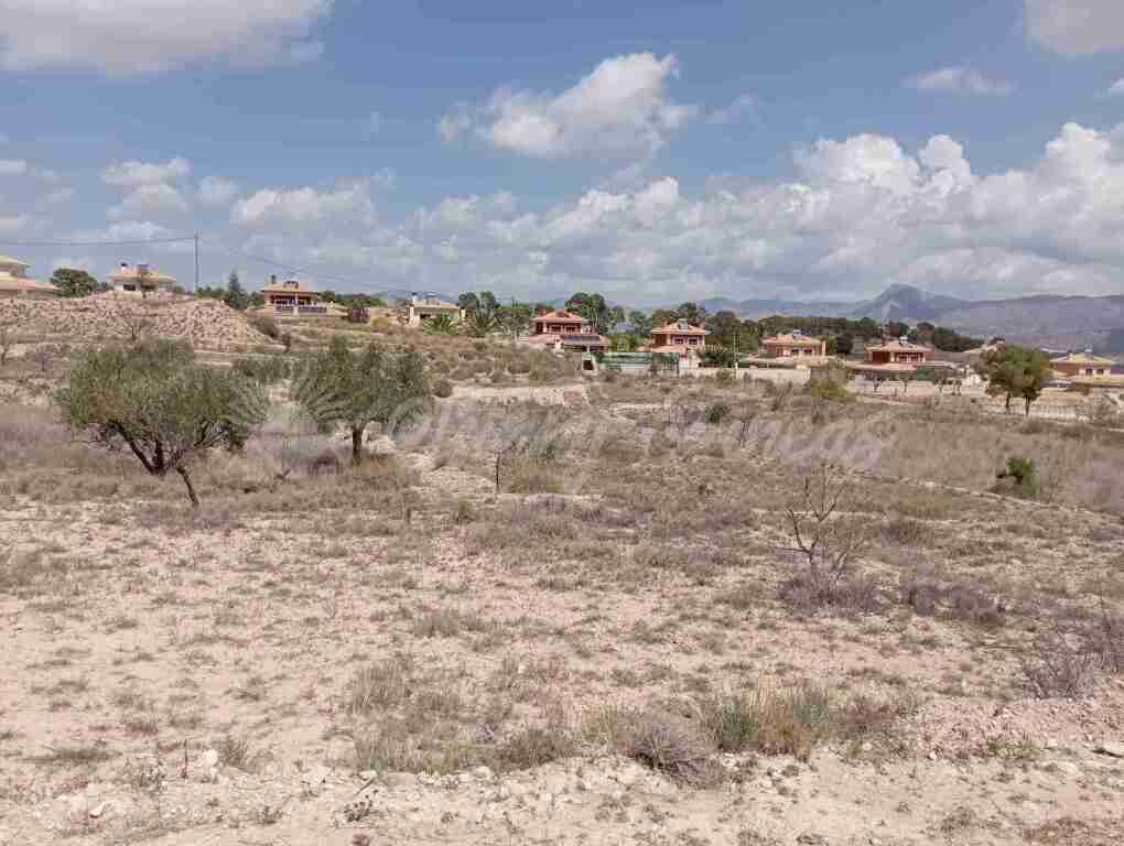 Suelo urbanizable en Venta en Monovar-Monover Alicante - foto 4