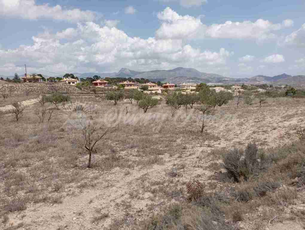 Suelo urbanizable en Venta en Monovar-Monover Alicante - foto 5