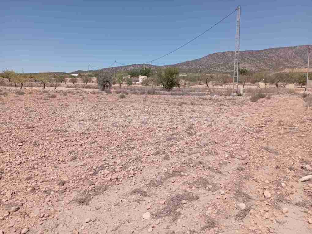 Suelo urbanizable en Venta en Pinoso Alicante - foto 2