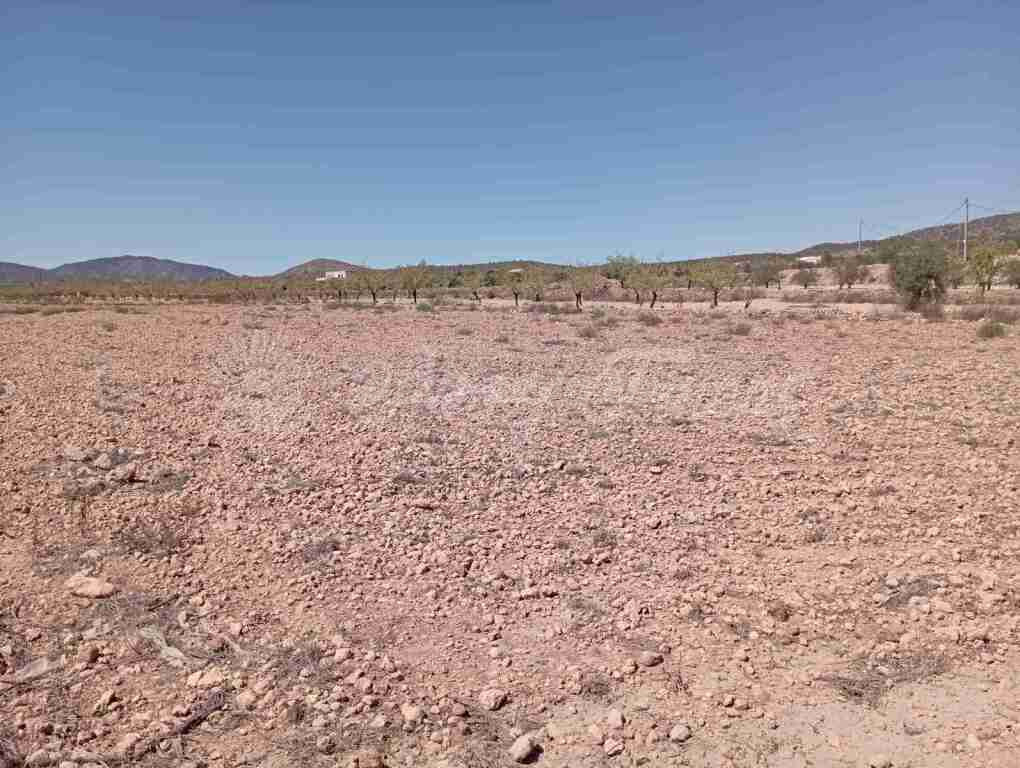 Suelo urbanizable en Venta en Pinoso Alicante - foto 3