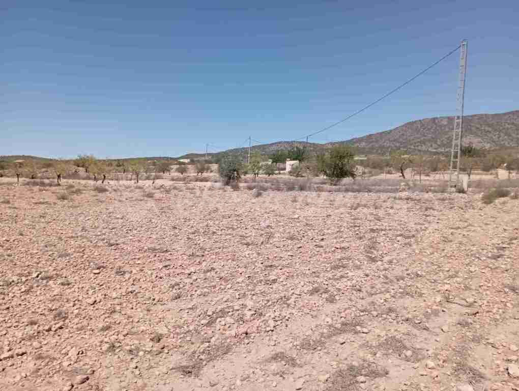 Suelo urbanizable en Venta en Pinoso Alicante - foto 5
