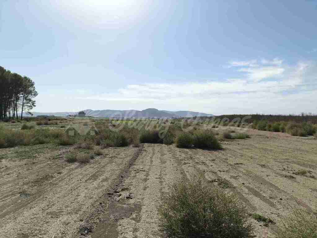 Suelo urbanizable en Venta en Villena Alicante