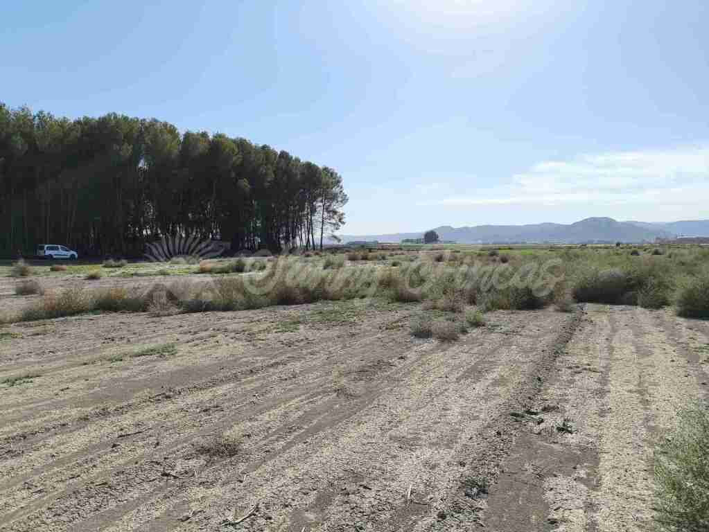 Suelo urbanizable en Venta en Villena Alicante - foto 4