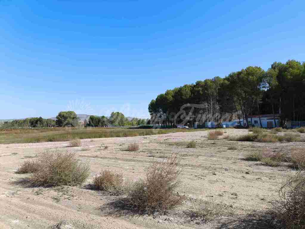 Suelo urbanizable en Venta en Villena Alicante - foto 5
