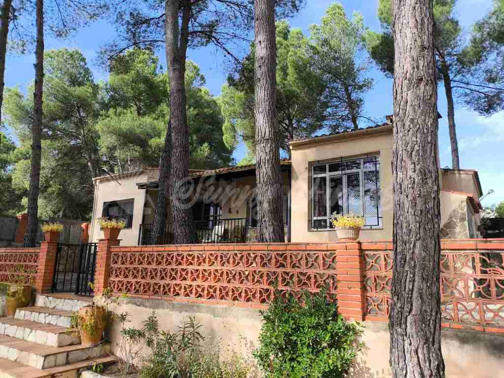 Casa-Chalet en Venta en Almansa Albacete