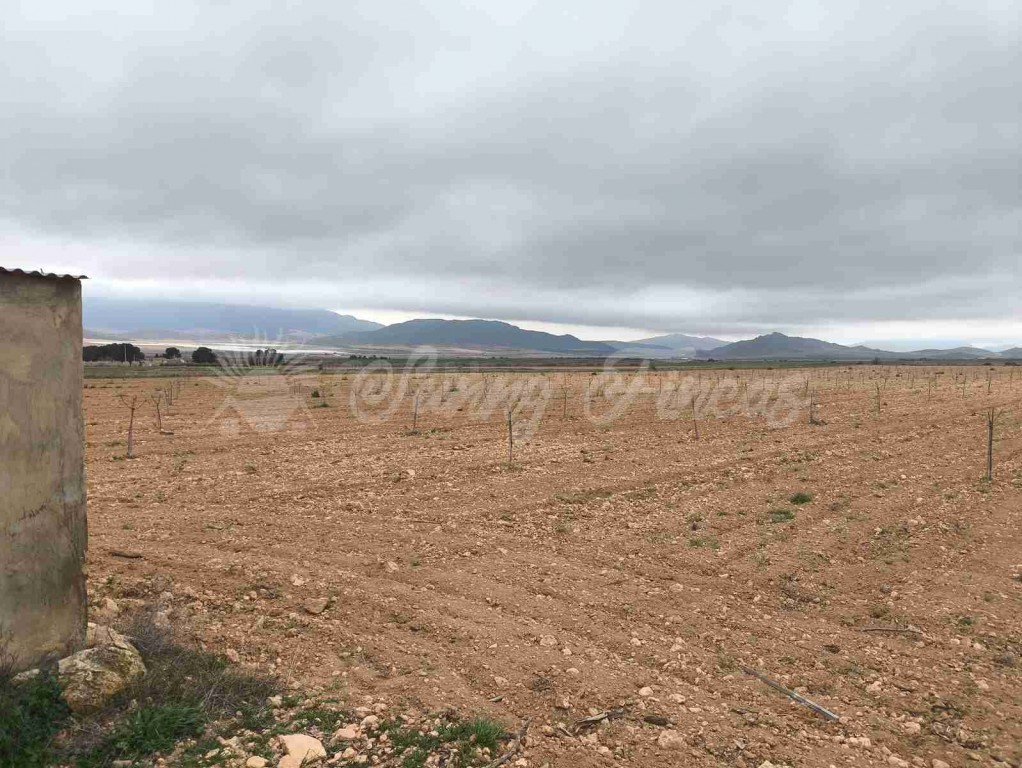 Suelo urbanizable en Venta en Yecla Murcia - foto 5