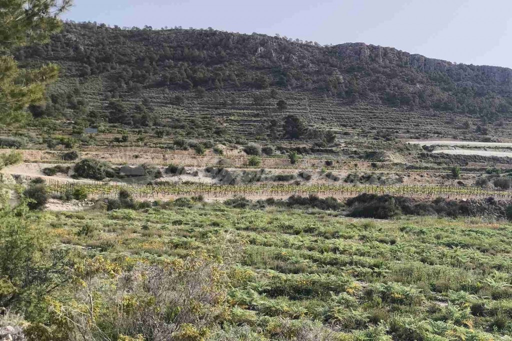 Suelo urbanizable en Venta en Romana, La Alicante - foto 2
