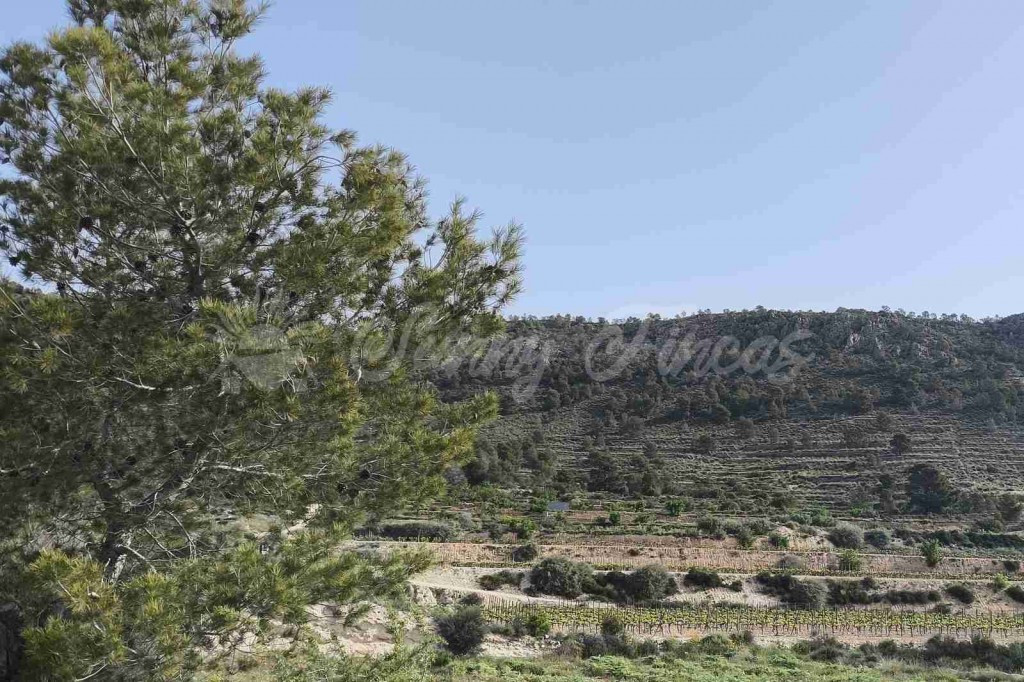 Suelo urbanizable en Venta en Romana, La Alicante - foto 4