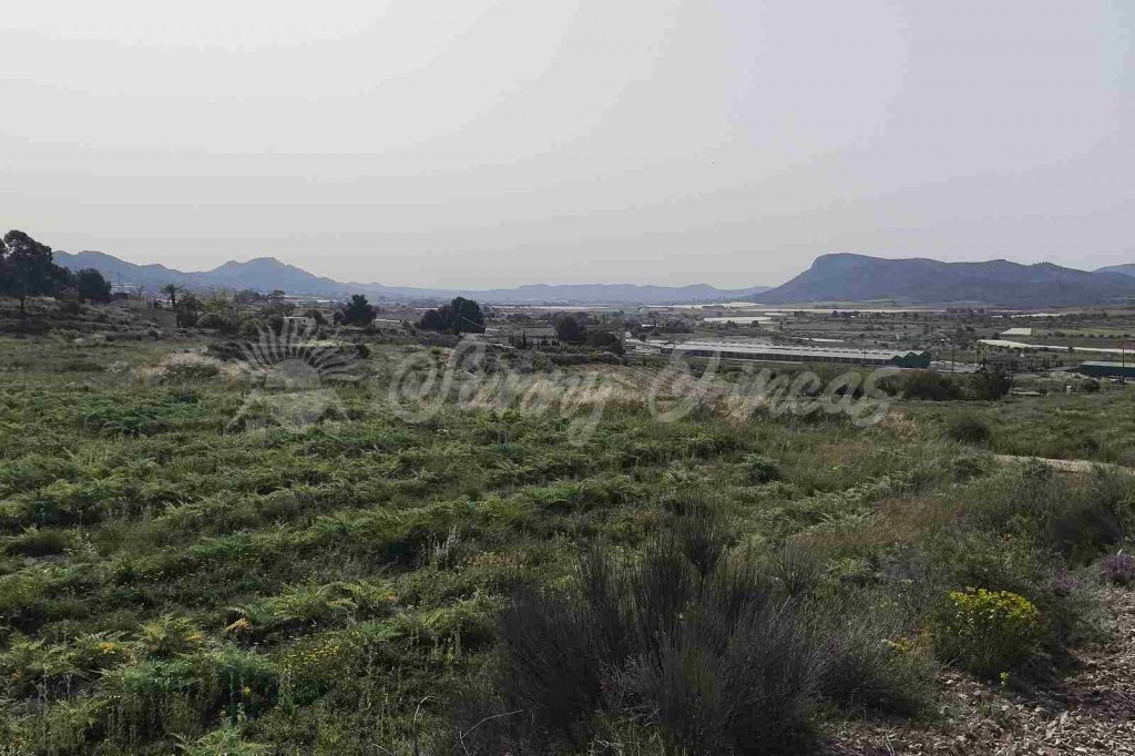 Parcela en Venta en Romana, La Alicante - foto 3