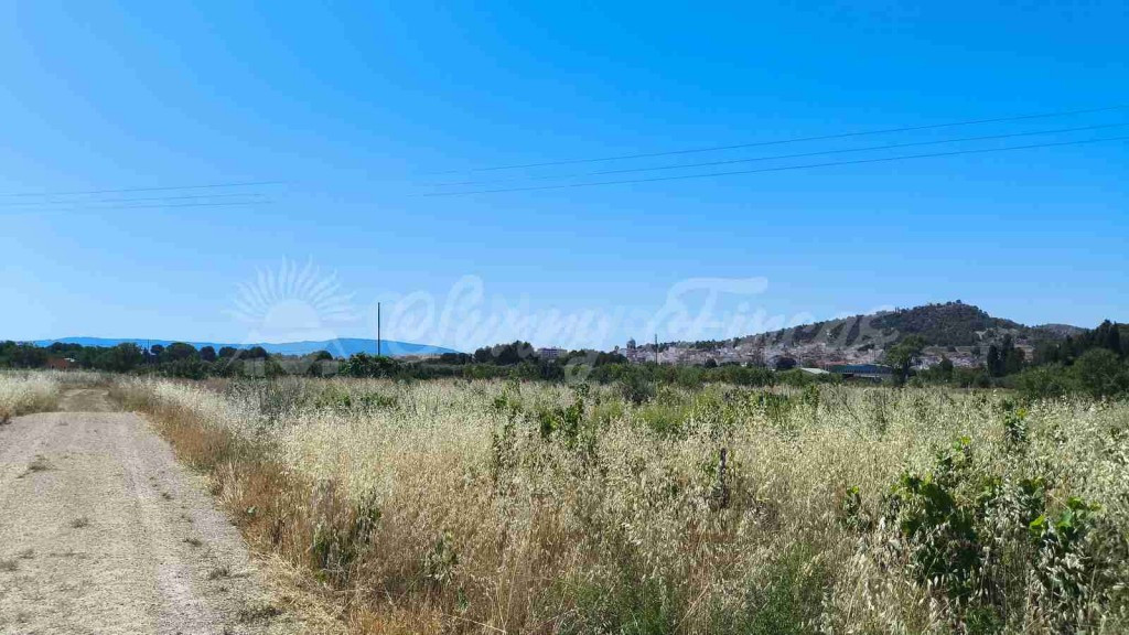 Suelo urbanizable en Venta en Yecla Murcia - foto 2