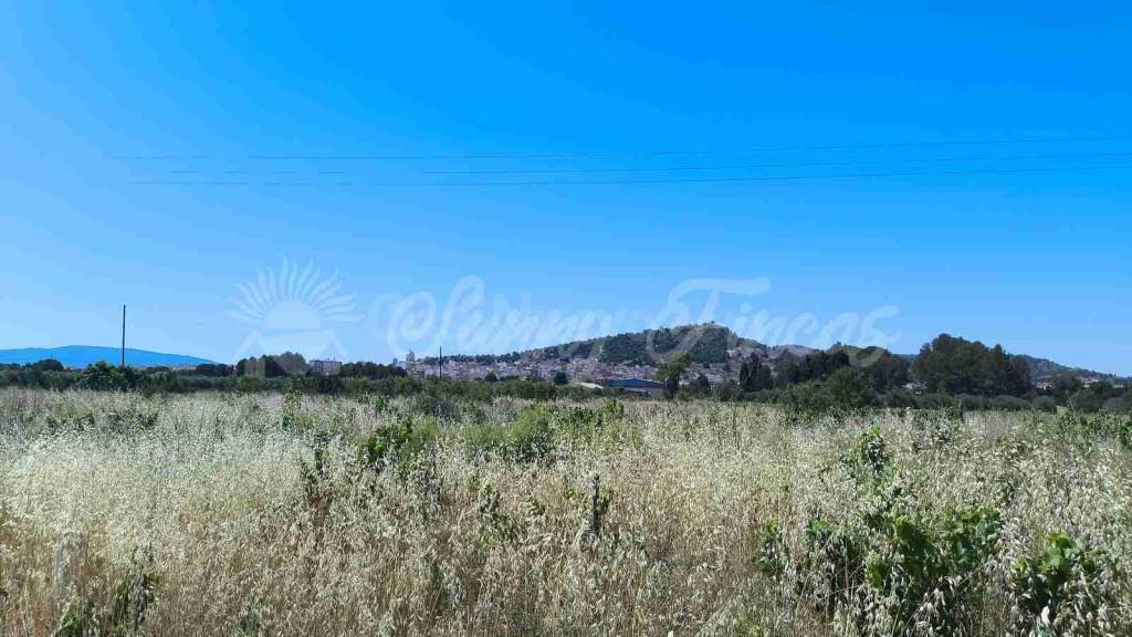 Suelo urbanizable en Venta en Yecla Murcia - foto 3