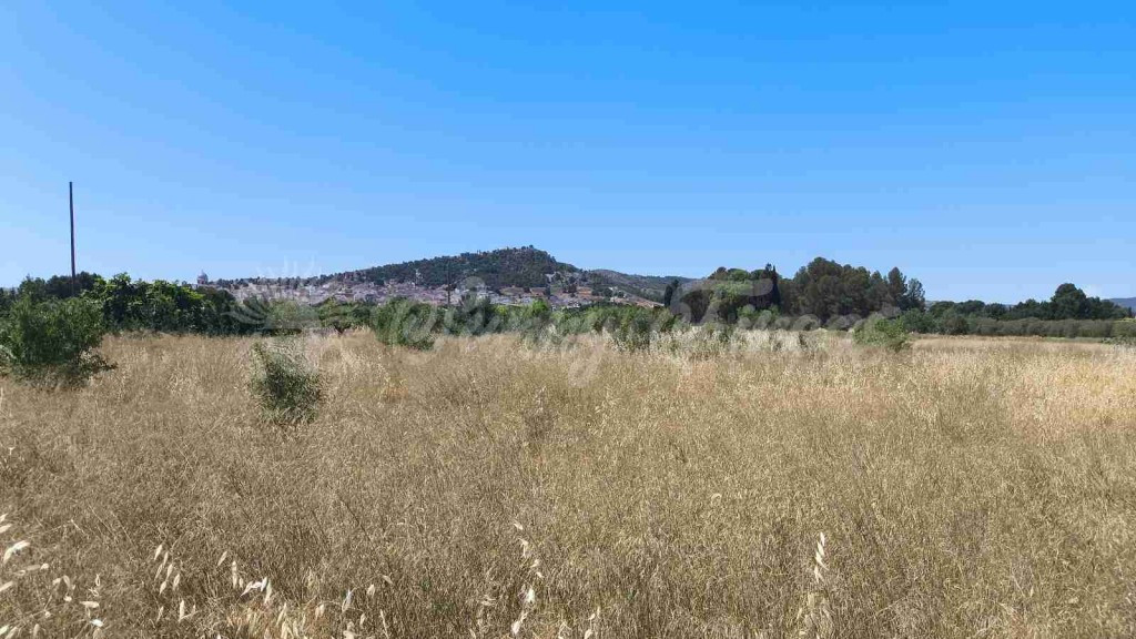 Suelo urbanizable en Venta en Yecla Murcia - foto 4