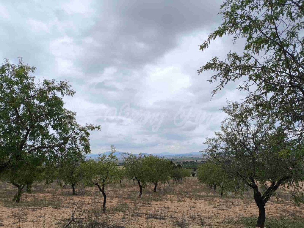 Suelo urbanizable en Venta en Yecla Murcia - foto 3
