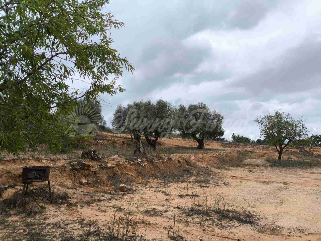 Suelo urbanizable en Venta en Yecla Murcia - foto 4