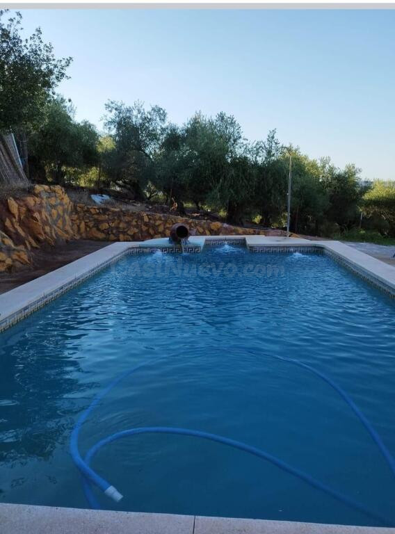 Preciosa  casa con parcela y piscina en la Puebla de los Inf - foto 5