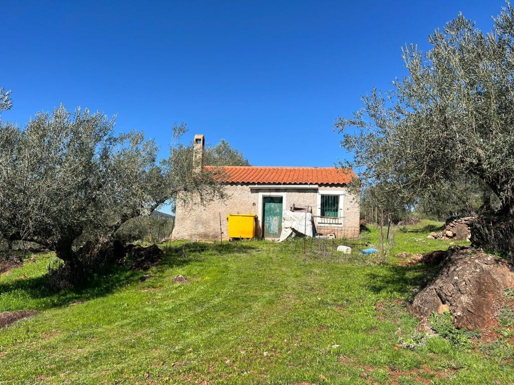 Espectacular Finca con olivos ecológicos en Zufre!!! - foto 2