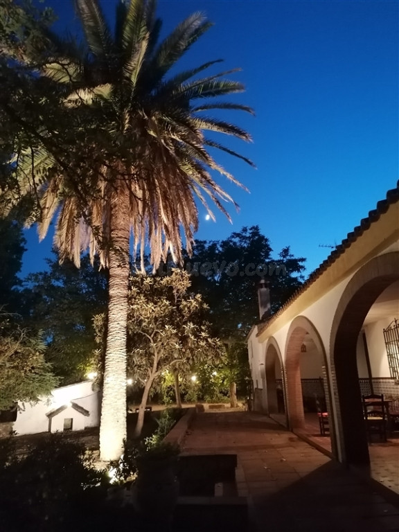 Casa de campo-Masía en Venta en Ronda Málaga - foto 5