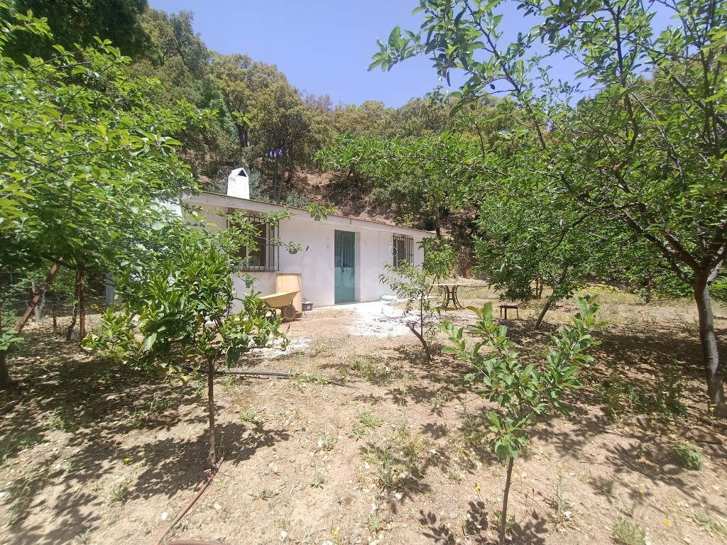 Casa de campo-Masía en Venta en Jubrique Málaga - foto 2
