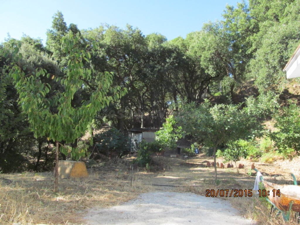 Casa de campo-Masía en Venta en Jubrique Málaga - foto 4