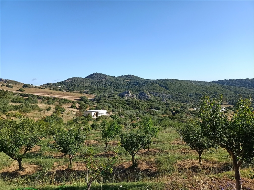 Suelo rústico en Venta en Casares Málaga