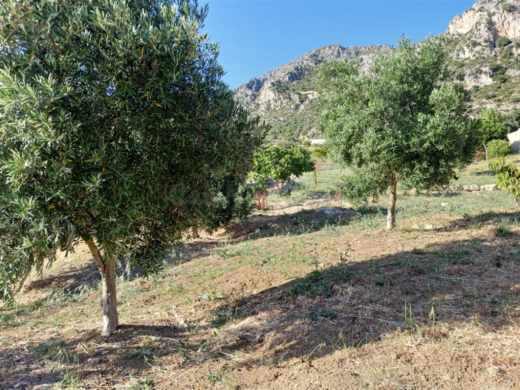 Suelo rústico en Venta en Casares Málaga - foto 4