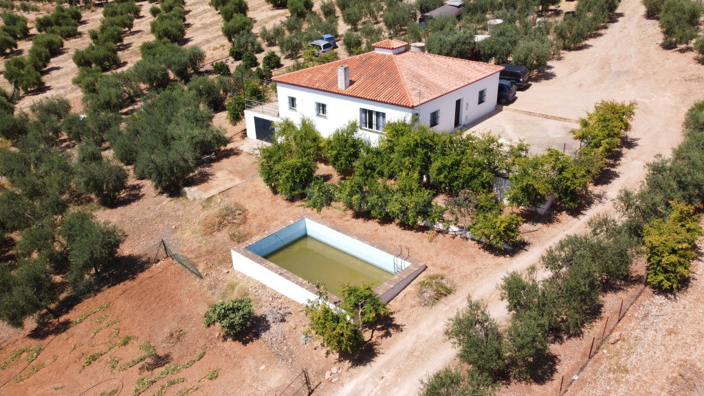 Casa de campo-Masía en Venta en Montellano Sevilla - foto 3