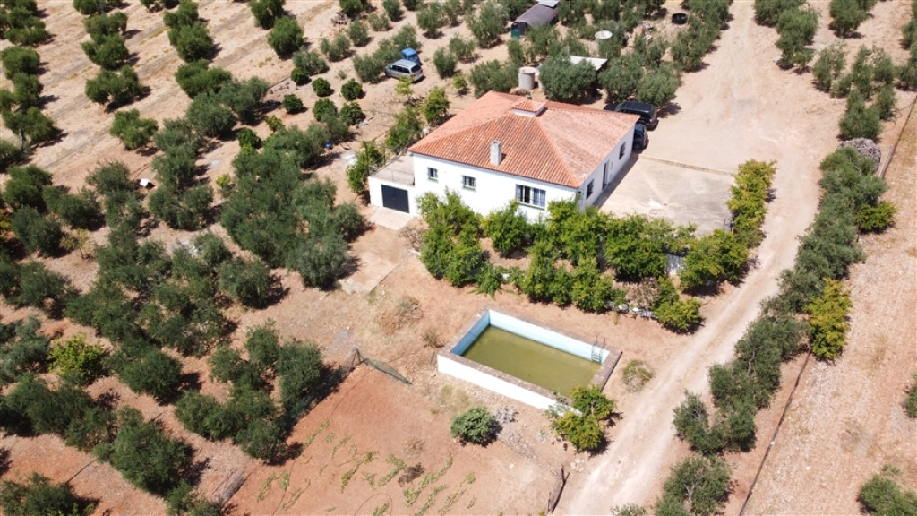 Casa de campo-Masía en Venta en Montellano Sevilla - foto 5