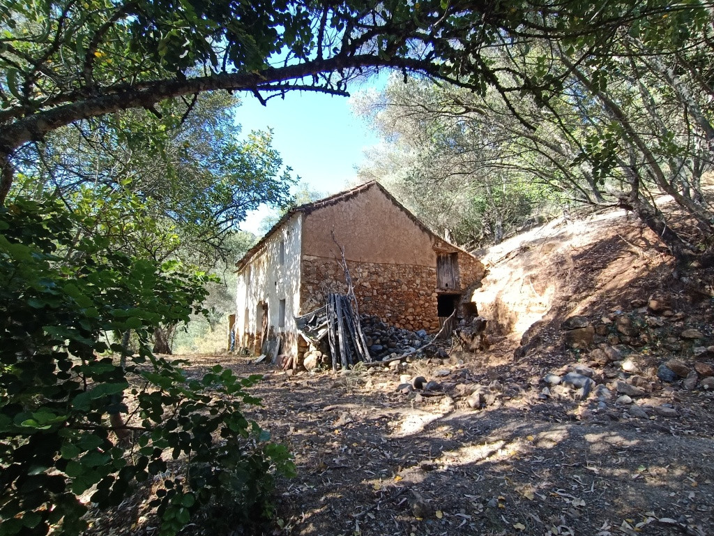 Casa de campo-Masía en Venta en Benarraba Málaga - foto 3