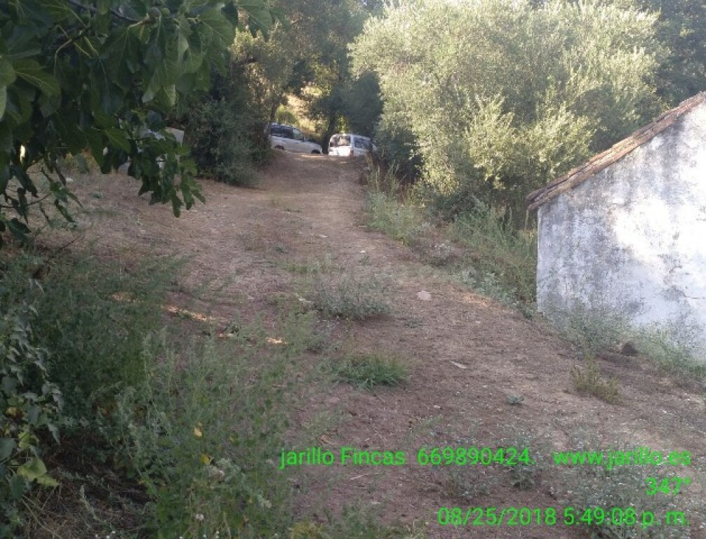 Casa de campo-Masía en Venta en Cortes De La Frontera Málaga - foto 3