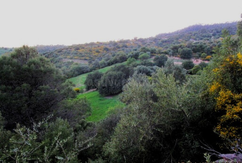 Casa de campo-Masía en Venta en Gaucín Málaga - foto 3