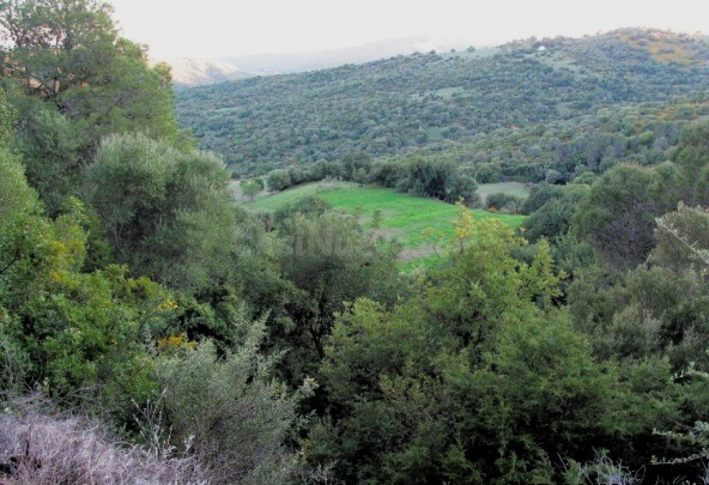 Casa de campo-Masía en Venta en Gaucín Málaga - foto 4