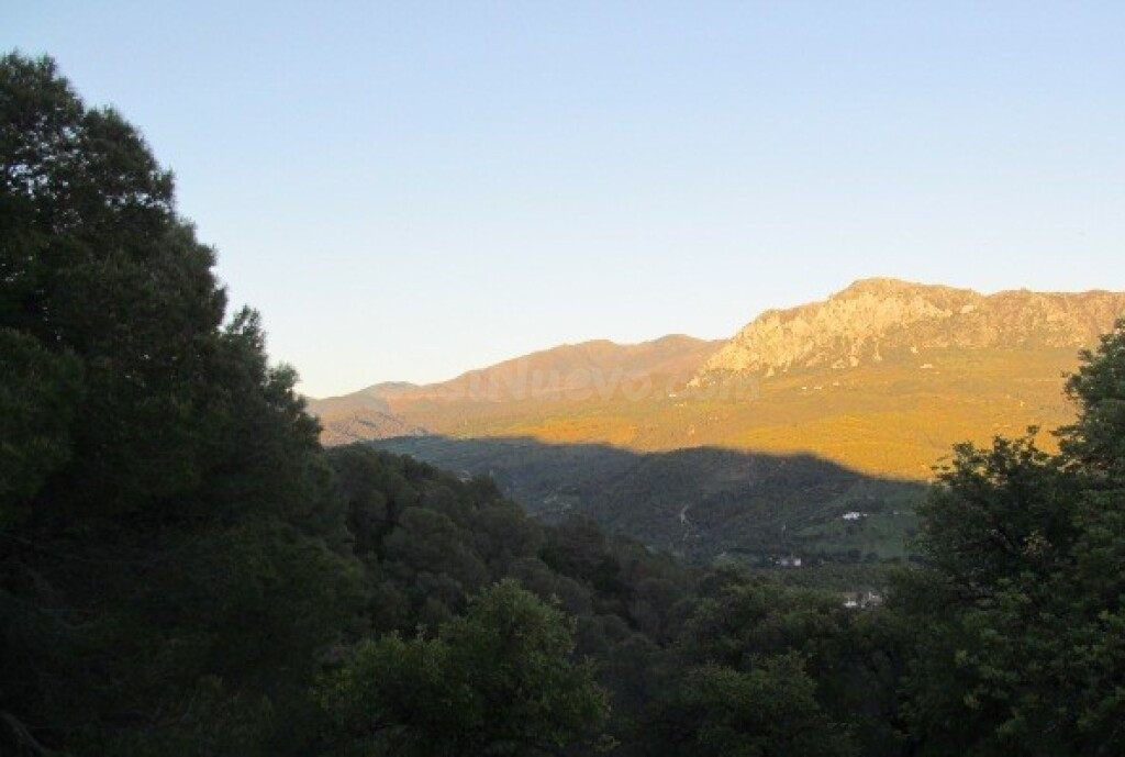 Casa de campo-Masía en Venta en Gaucín Málaga - foto 5