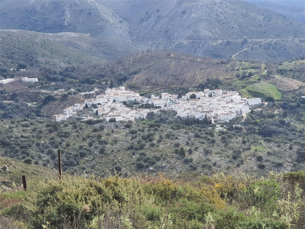 Casa de campo-Masía en Venta en Parauta Málaga - foto 4