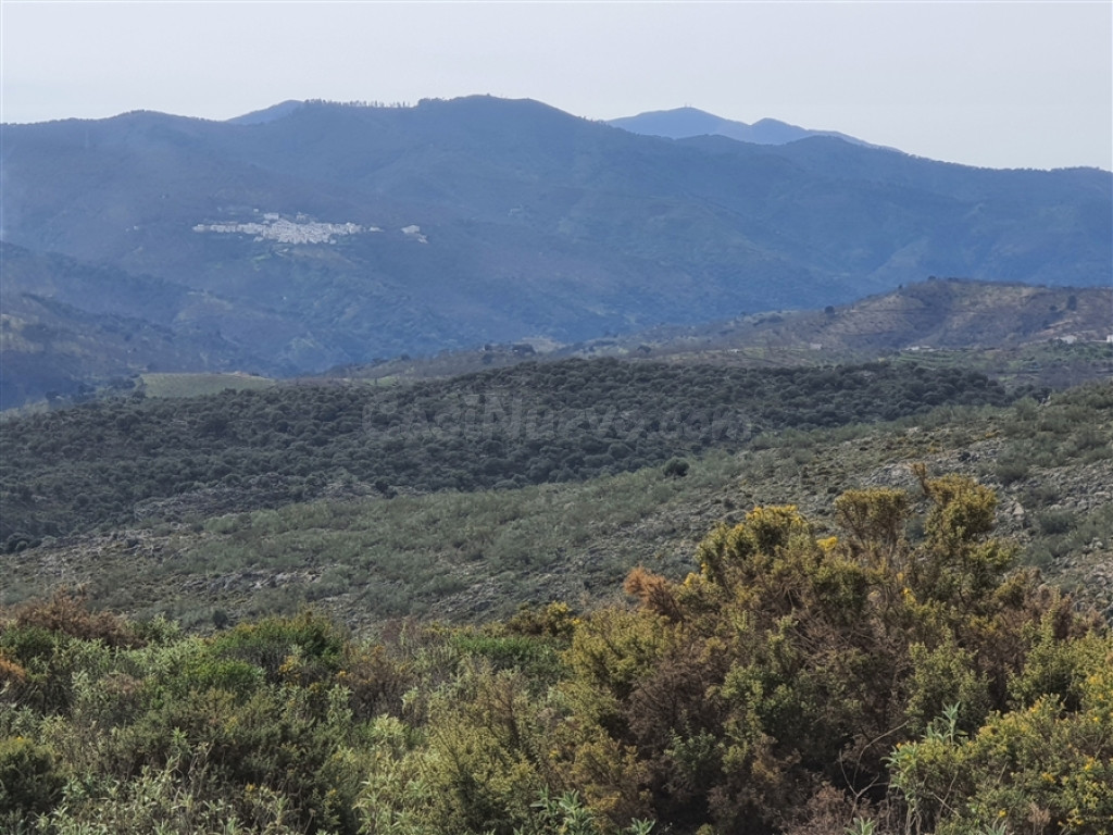 Casa de campo-Masía en Venta en Parauta Málaga - foto 5
