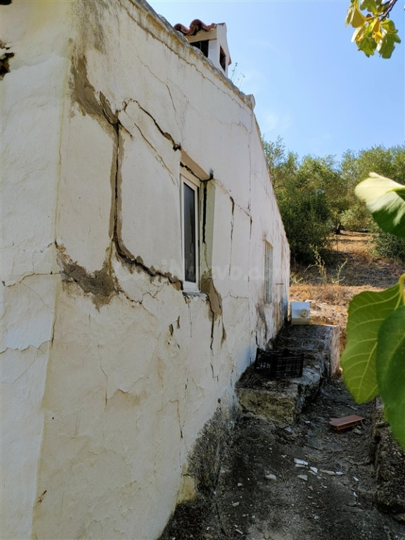 Casa de campo-Masía en Venta en Cortes De La Frontera Málaga - foto 3
