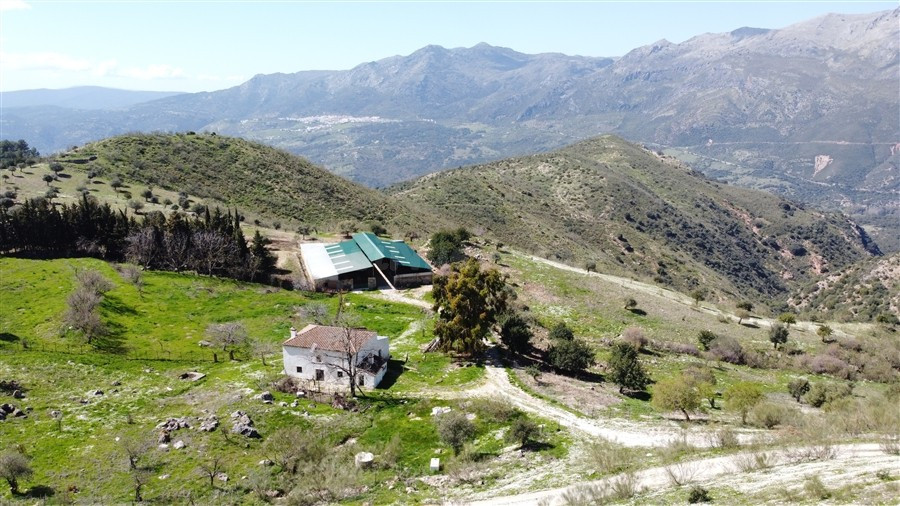 Casa de campo-Masía en Venta en Benalauria Málaga - foto 3
